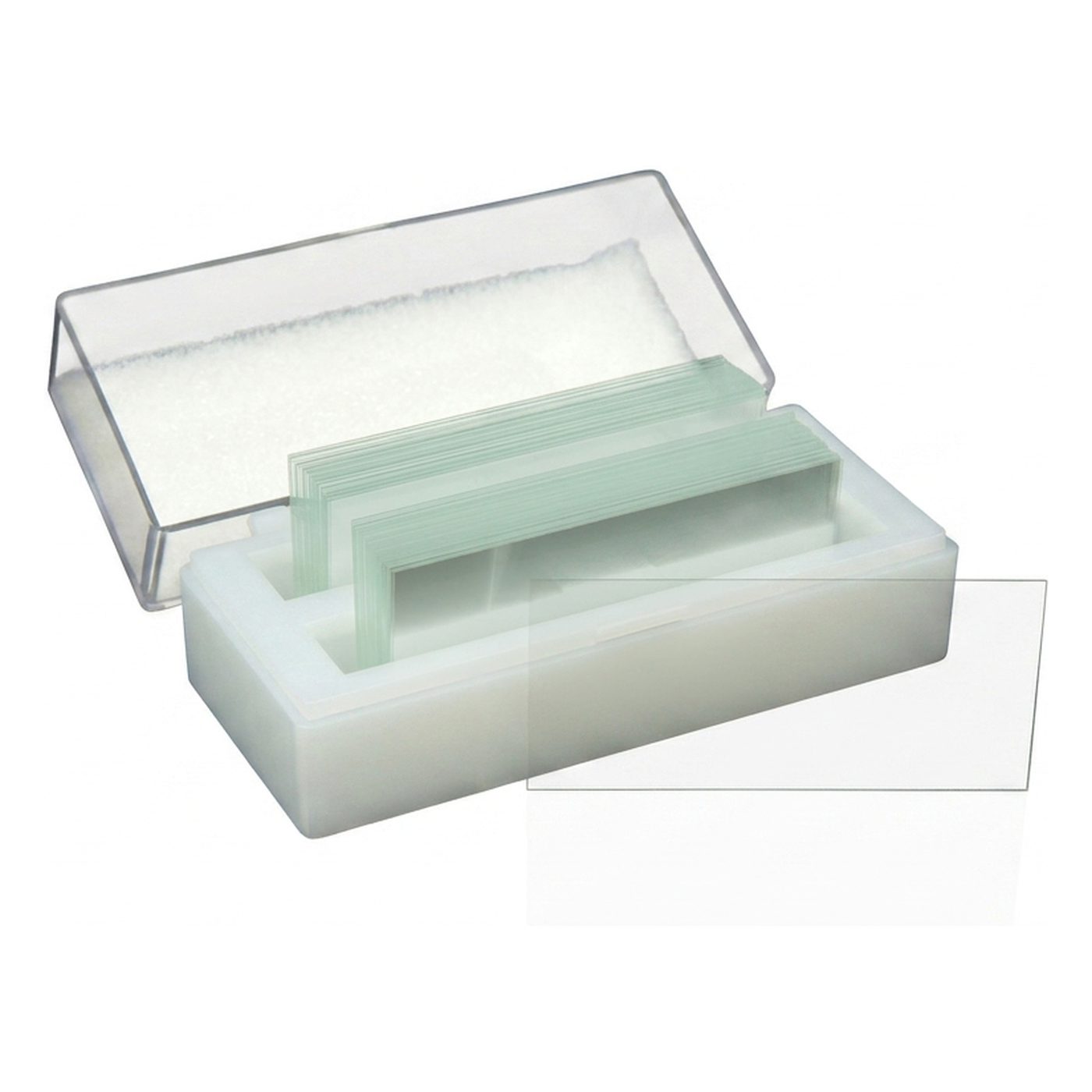 Deckglas 24 x 50mm