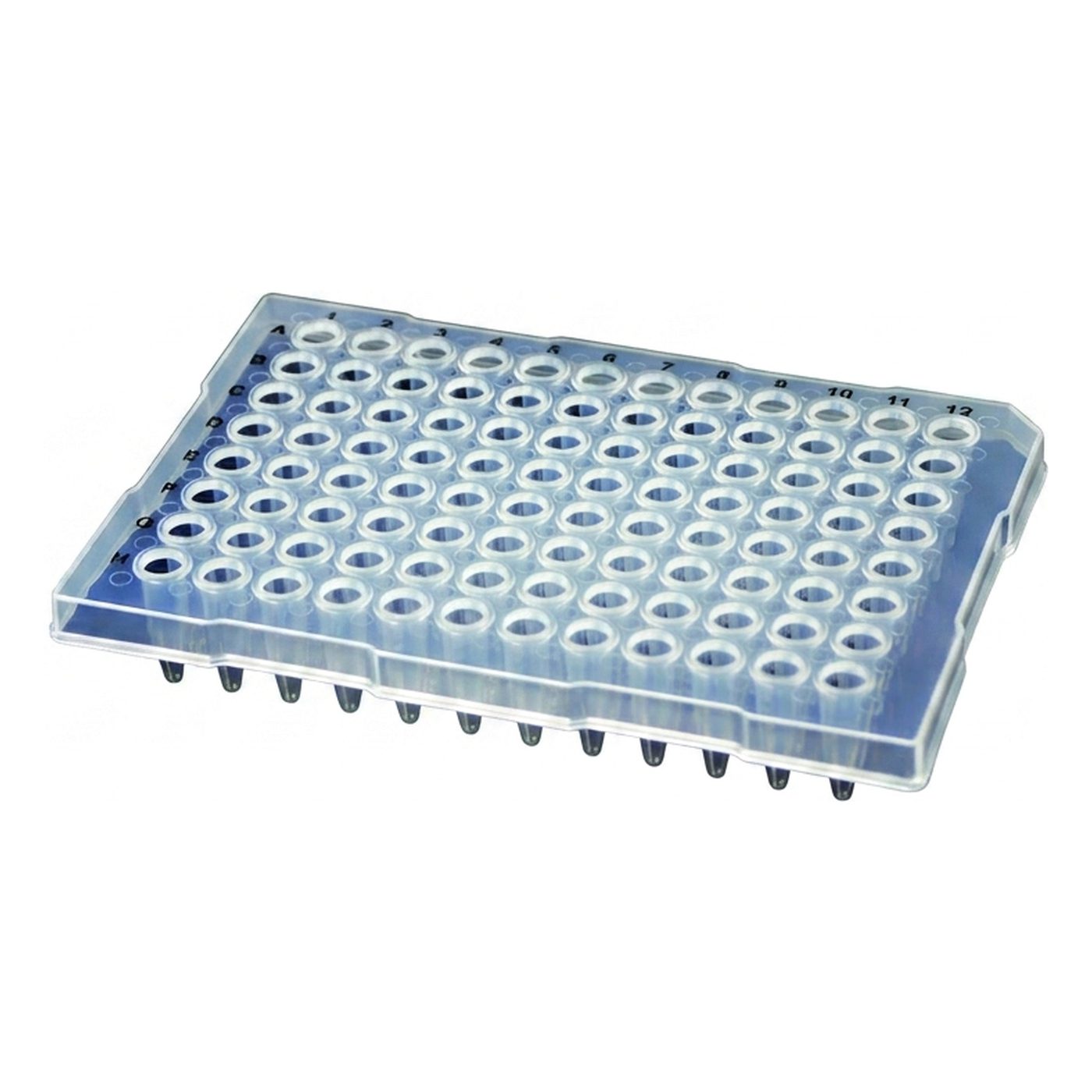 350 µl PCR-Platte mit halbem Rand, 96 Well, Standardhöhe