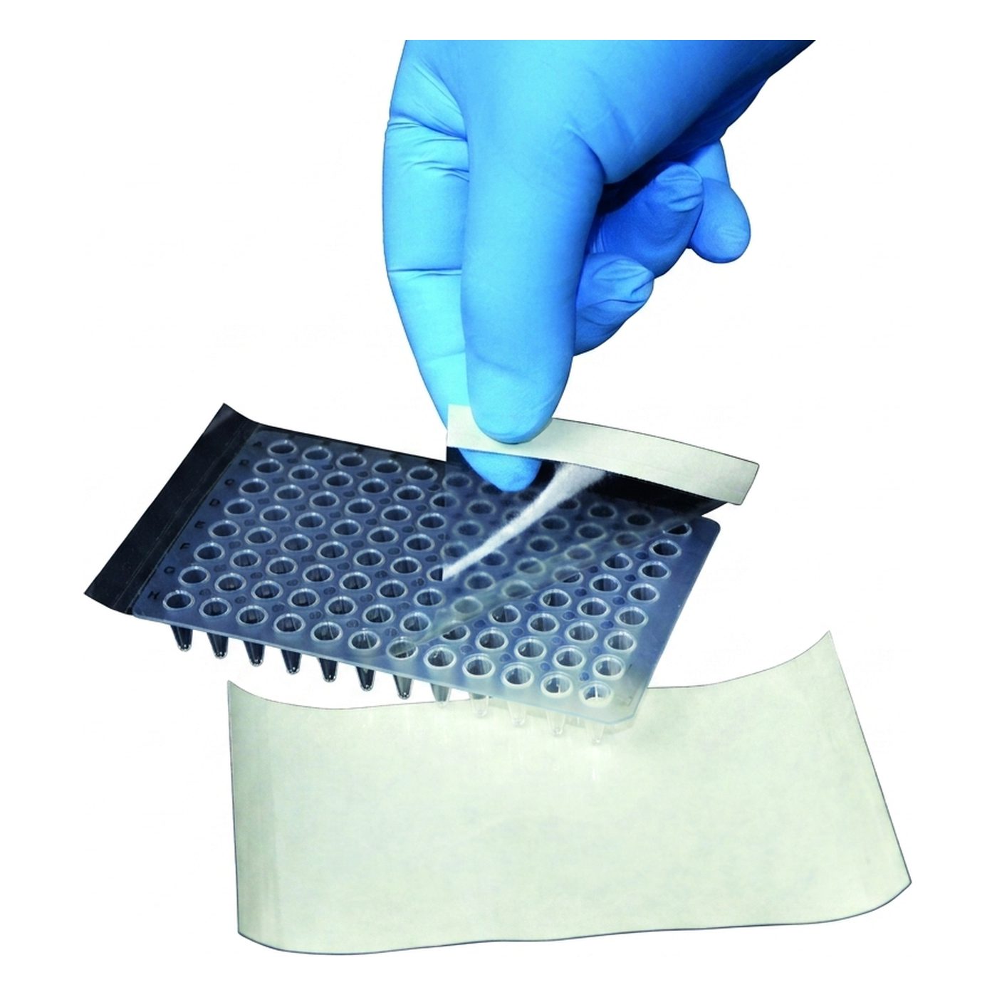 PCR Plattenverschlussfolie, adhäsiv