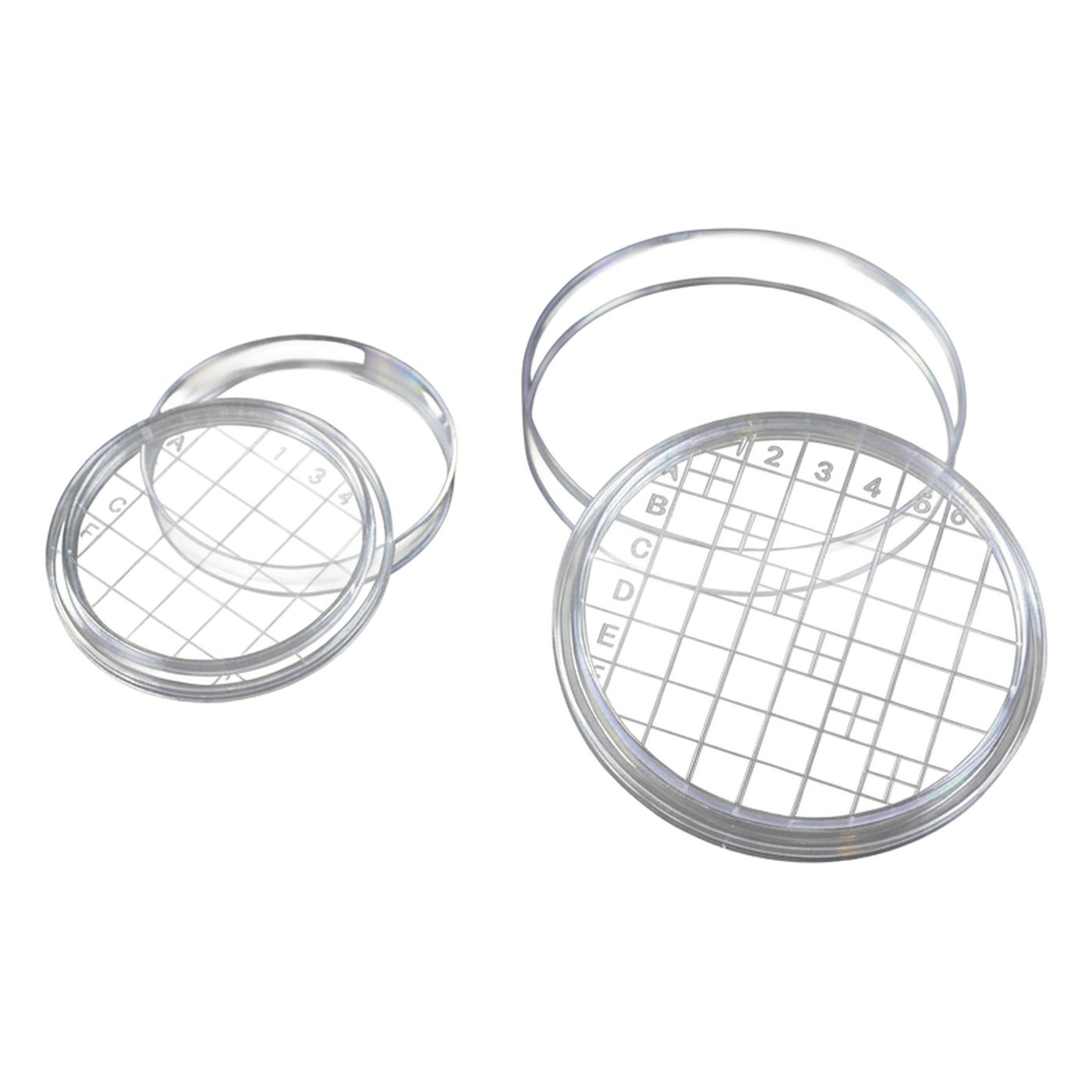 Petrischale Ø 55 mm mit Nocken+Raster, steril
